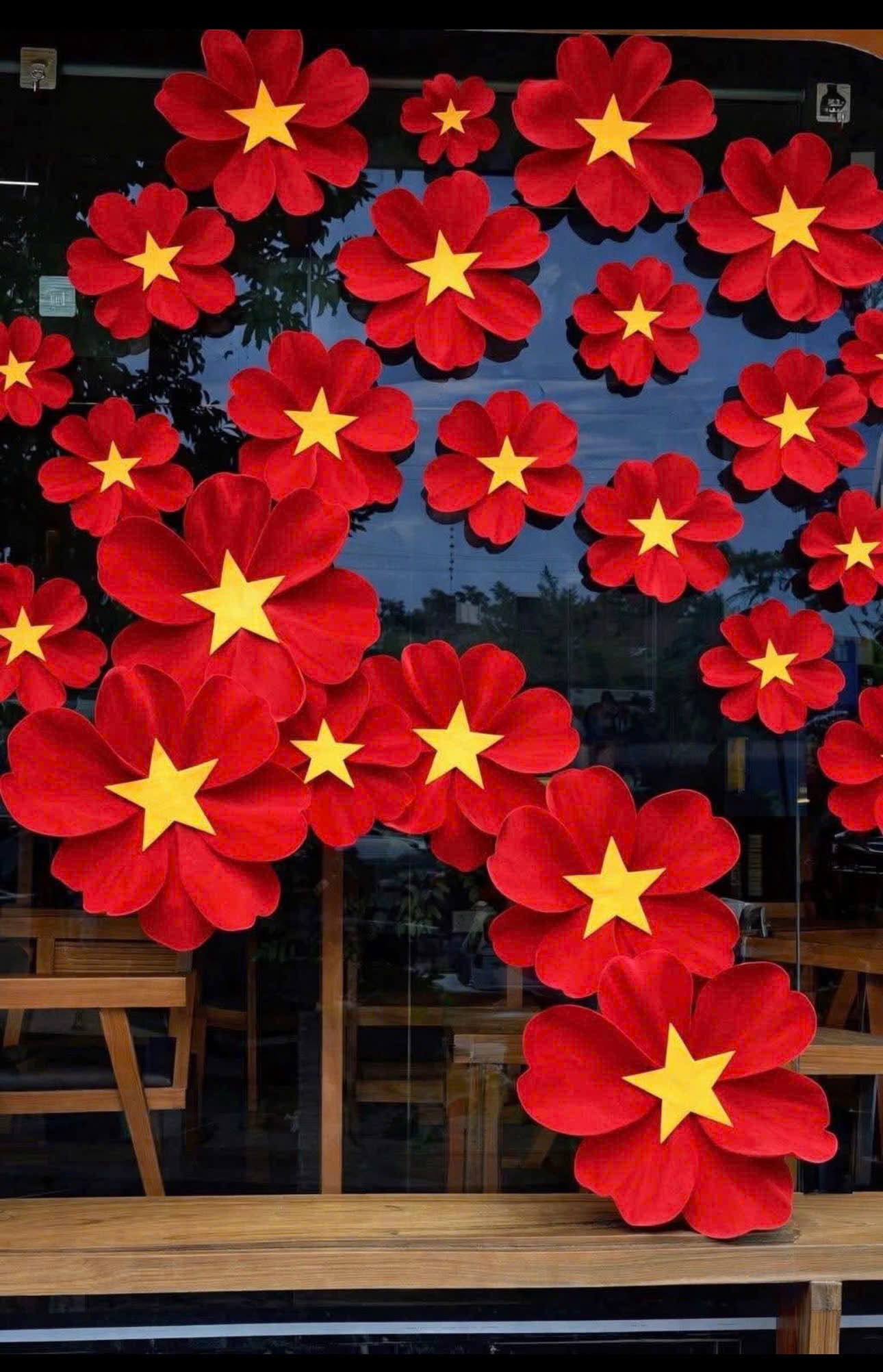 Hoa cờ đỏ sao vàng